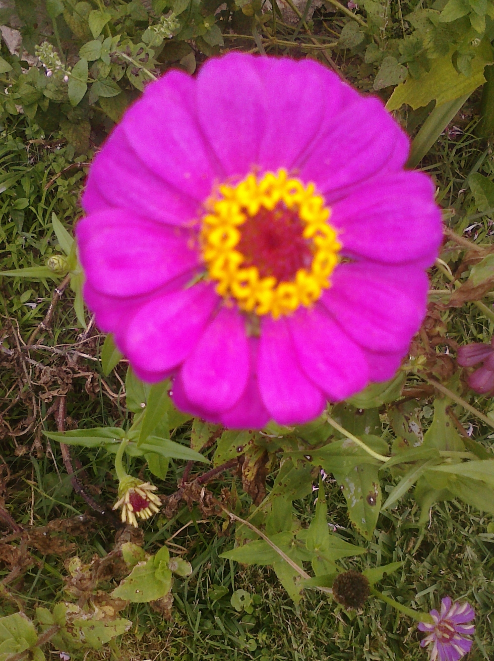 CIMG0043