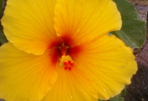 CIMG0051